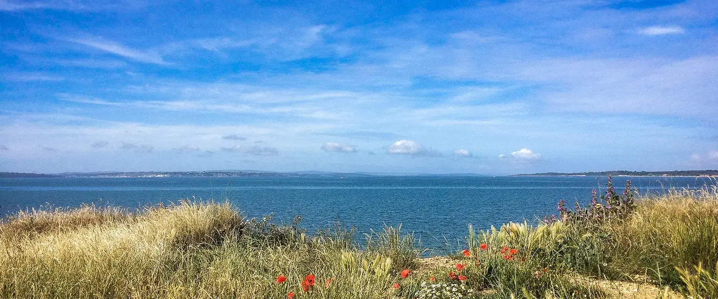 Close to the Solent
