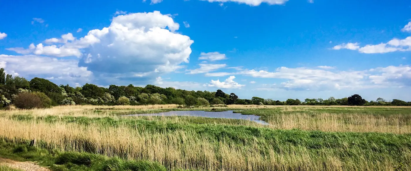 Beautiful Countryside