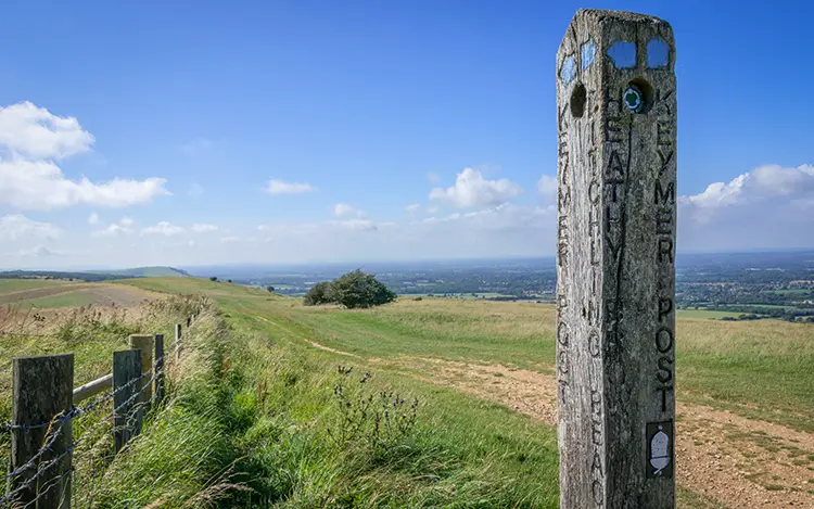 south downs